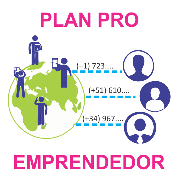 PRO EMPRENDEDOR PRODUCTO SEM